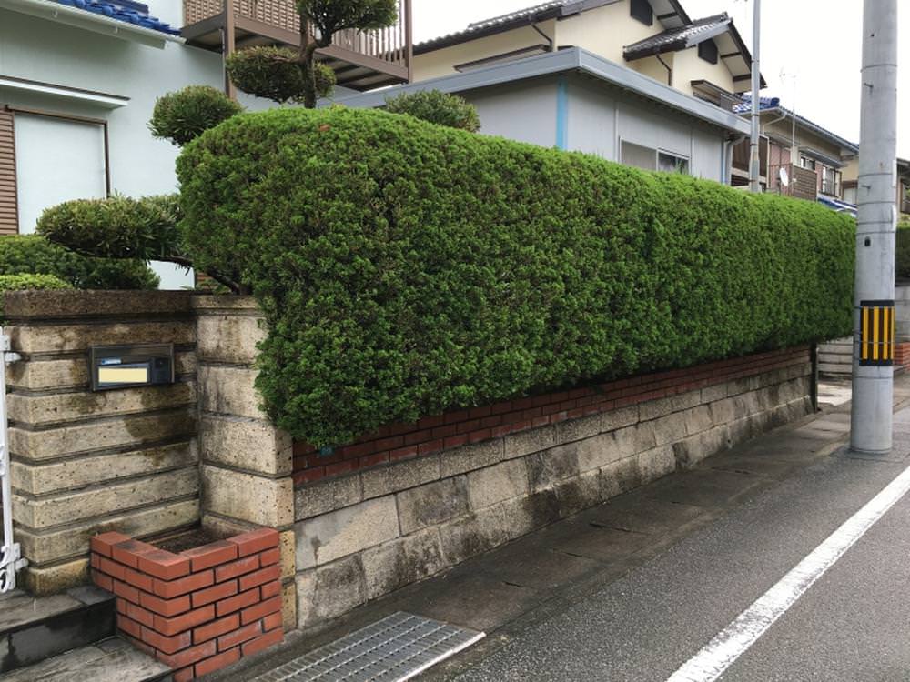植木からフェンスへ　ルシアスフェンス☆