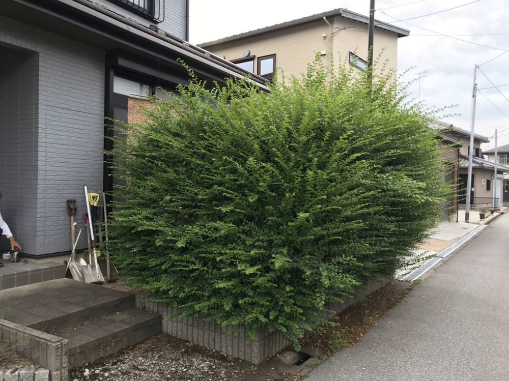 外回りの草むしりが大変になり・・・