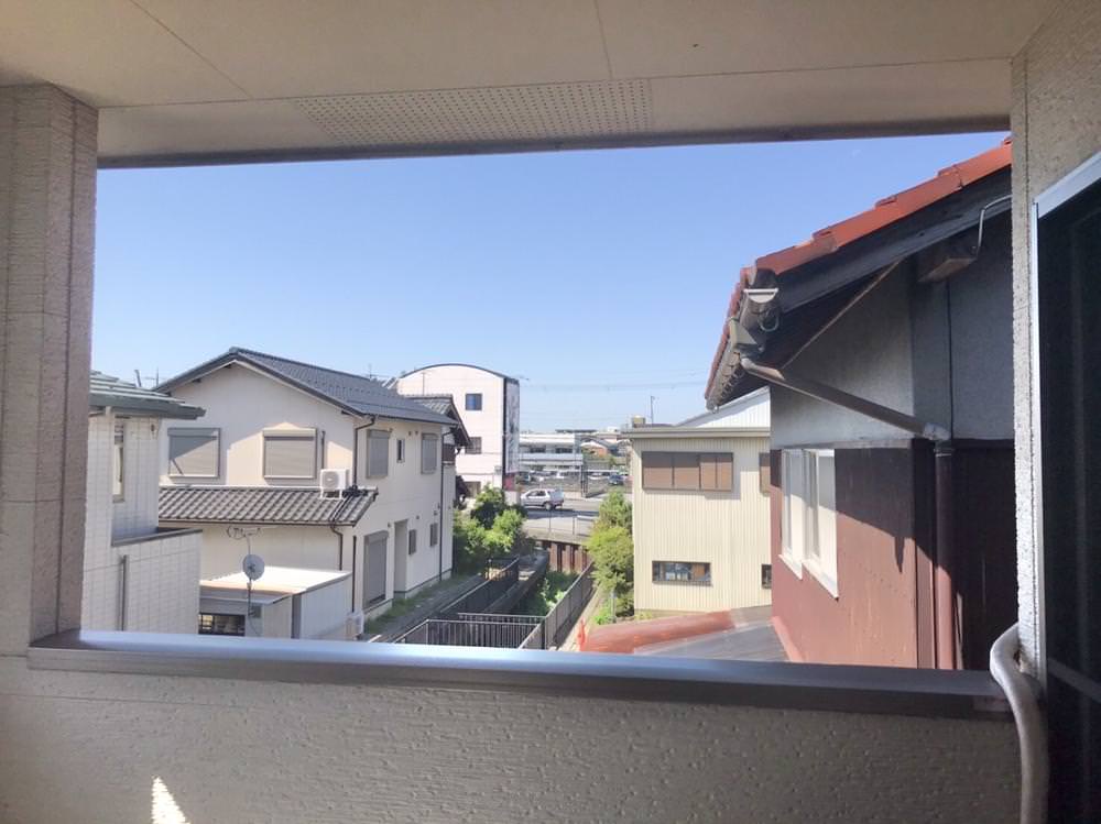 網戸で害鳥対策！①