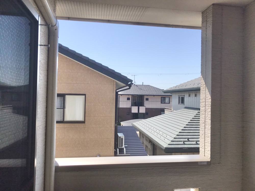 網戸で害鳥対策！②
